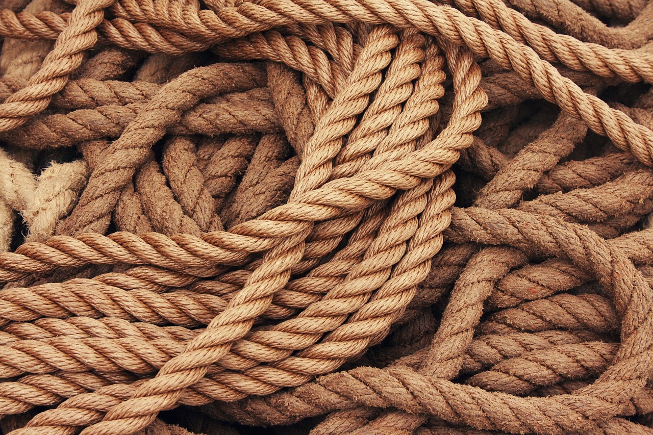 Erkundung der Strände