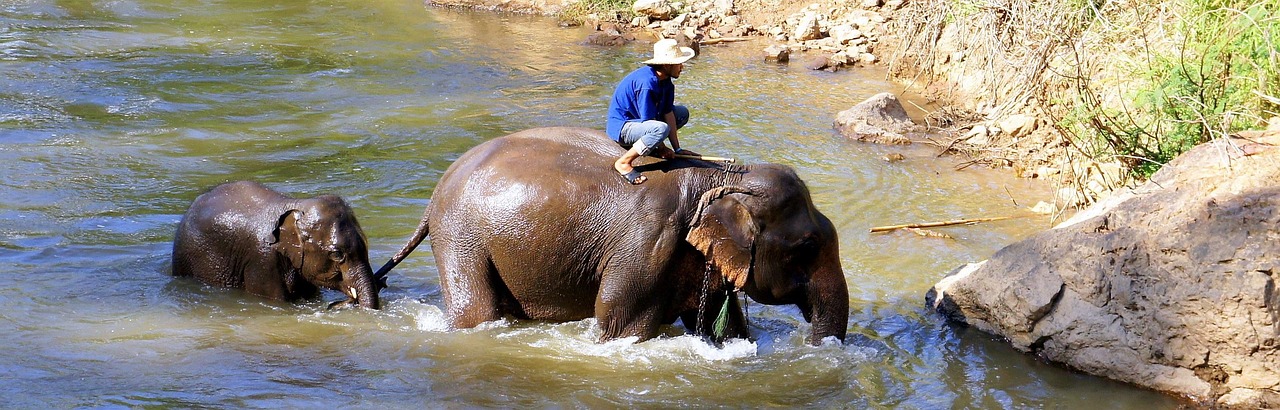 Kochkurs in Chiang Mai